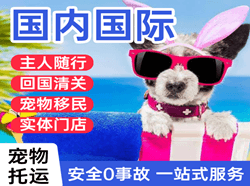 昭通空运代理国际宠物托运 【国